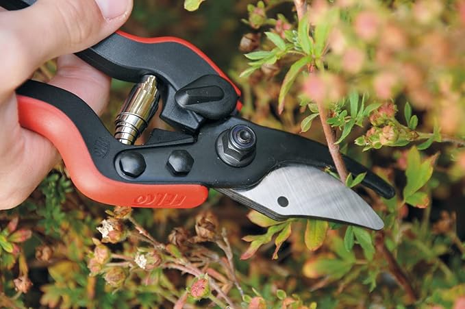 FELCO 160S Sécateur Bypass